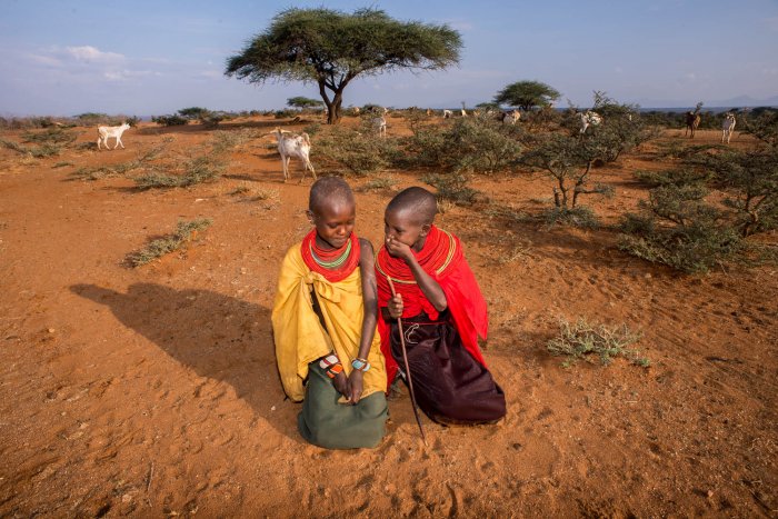 Lchekutis, Maasai Child Shepherds